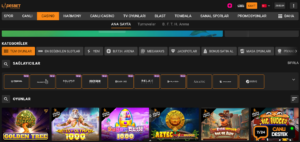 Ladesbet Giriş Yapamıyorum